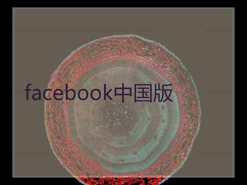 facebook中国版