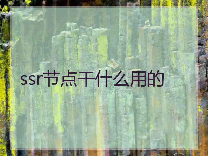 ssr节点干什么用的