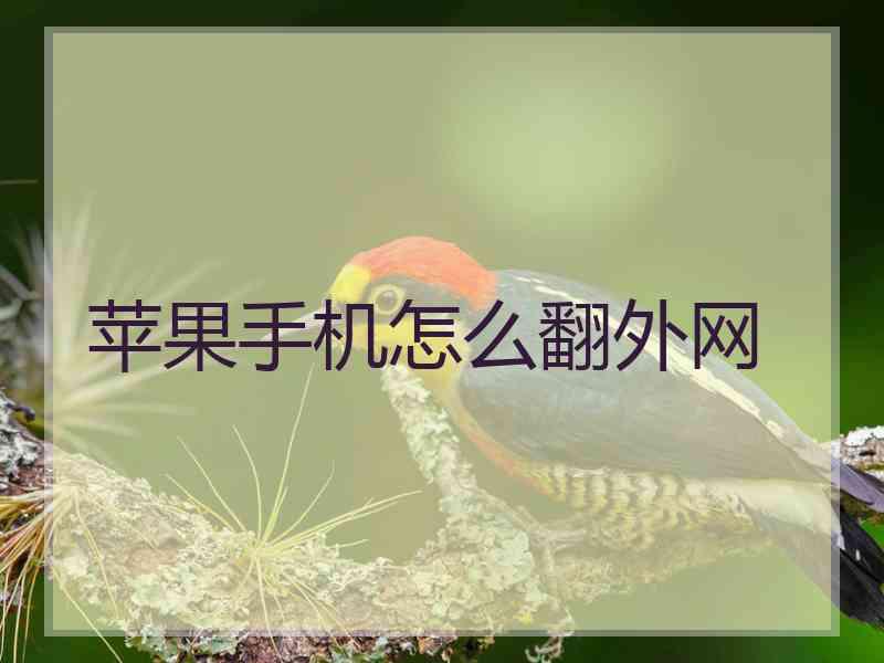 苹果手机怎么翻外网