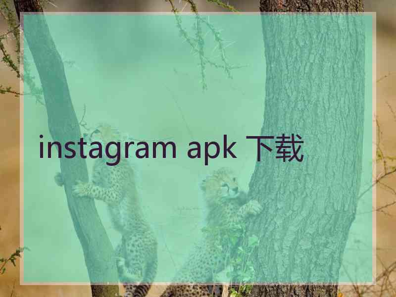 instagram apk 下载