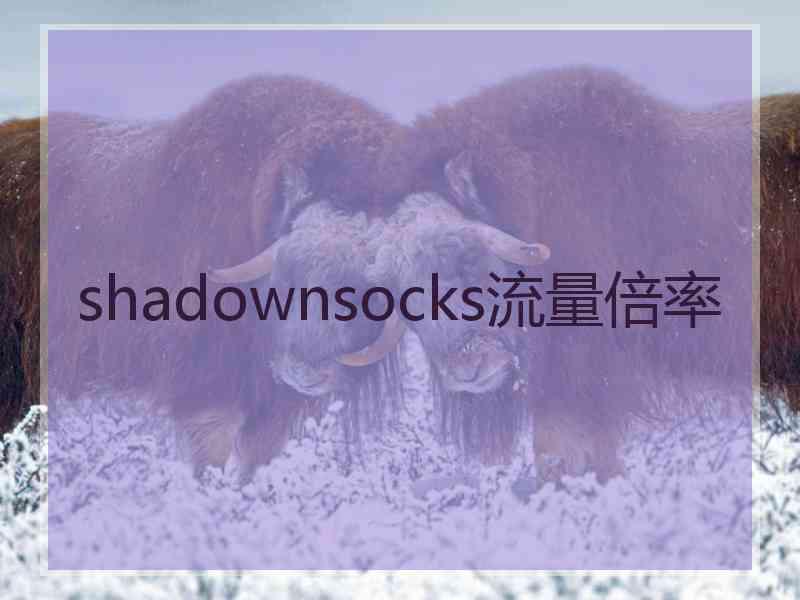 shadownsocks流量倍率