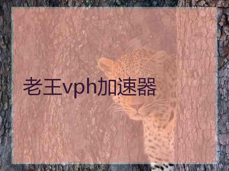 老王vph加速器