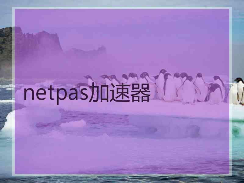 netpas加速器