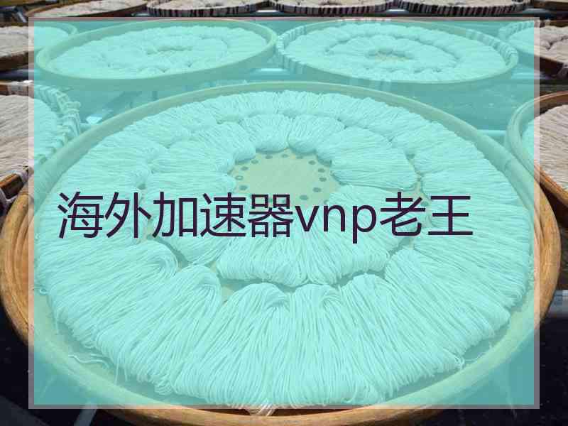 海外加速器vnp老王