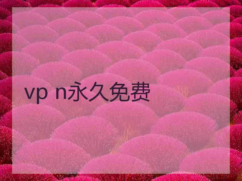 vp n永久免费