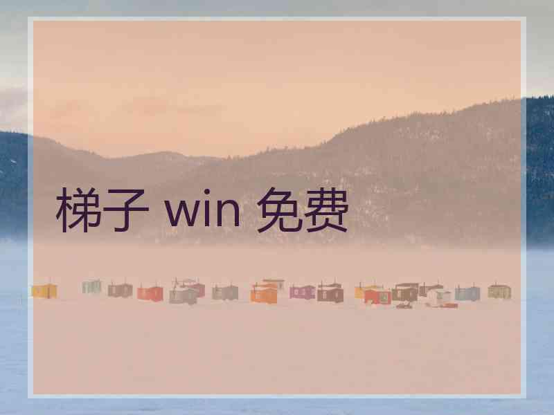 梯子 win 免费