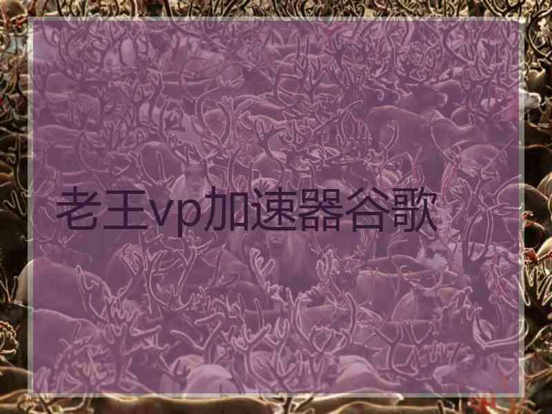 老王vp加速器谷歌