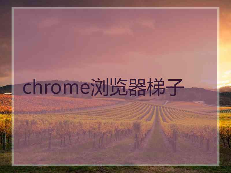 chrome浏览器梯子