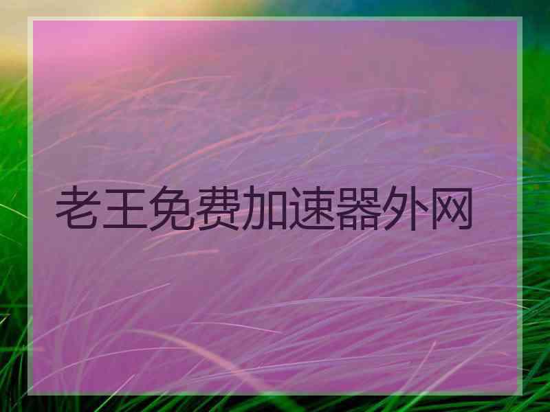 老王免费加速器外网