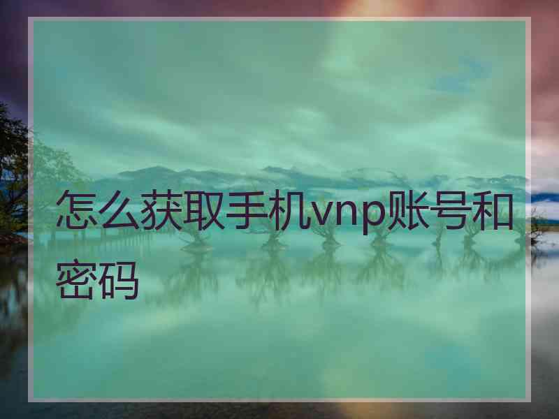 怎么获取手机vnp账号和密码