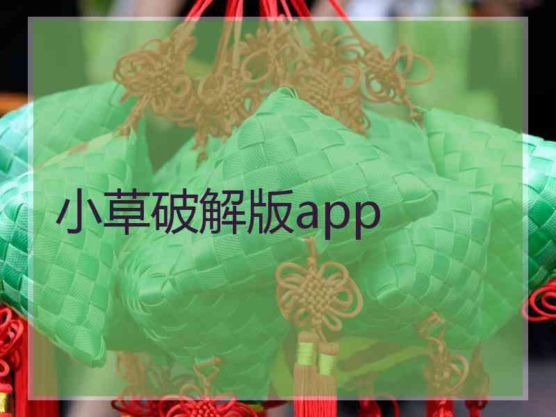 小草破解版app