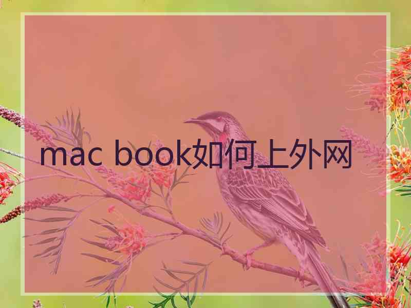 mac book如何上外网