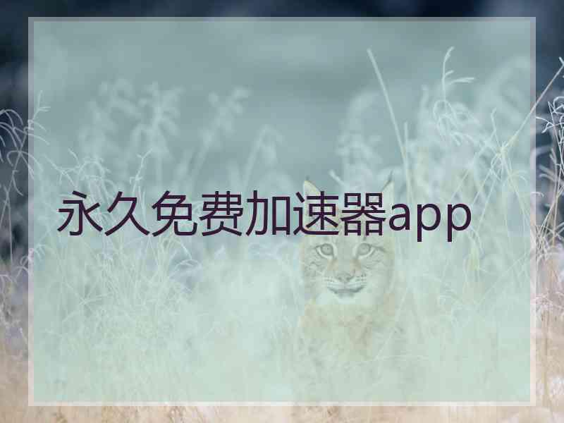 永久免费加速器app