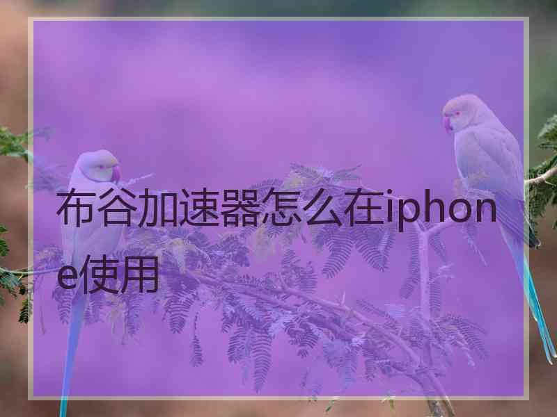 布谷加速器怎么在iphone使用