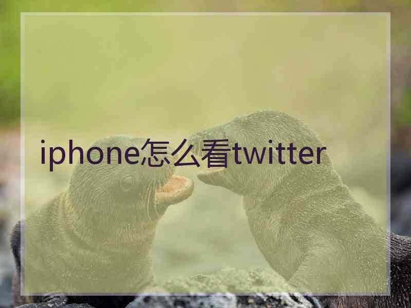 iphone怎么看twitter