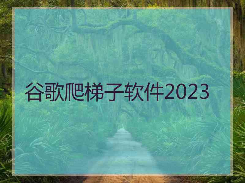 谷歌爬梯子软件2023