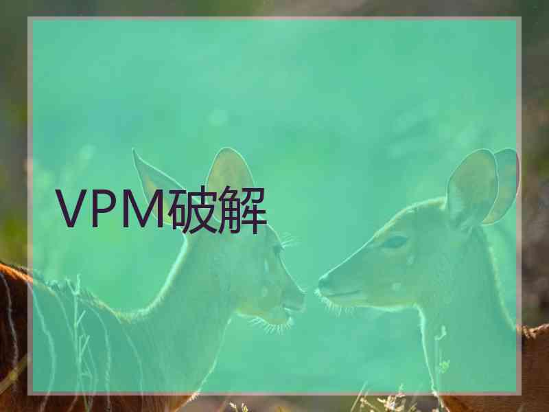 VPM破解