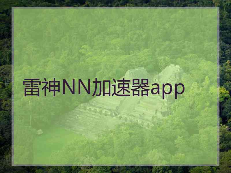 雷神NN加速器app