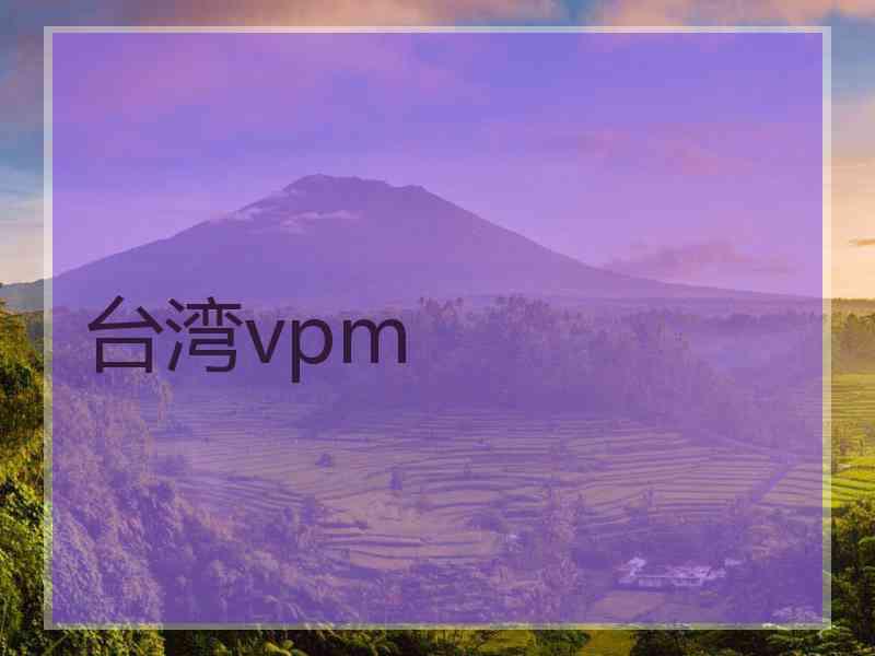 台湾vpm