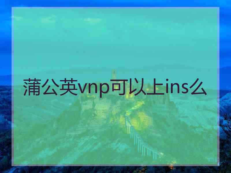 蒲公英vnp可以上ins么