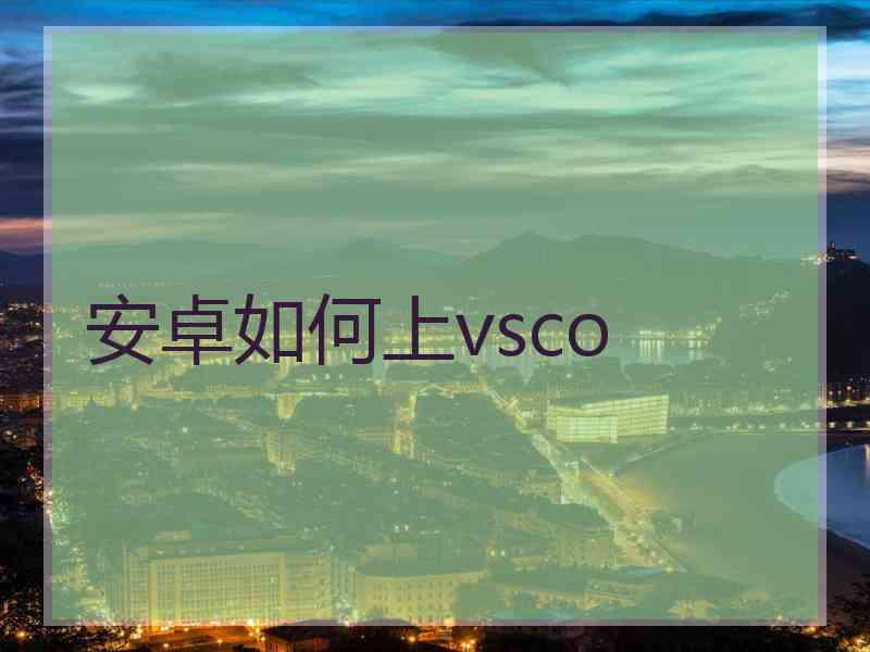 安卓如何上vsco