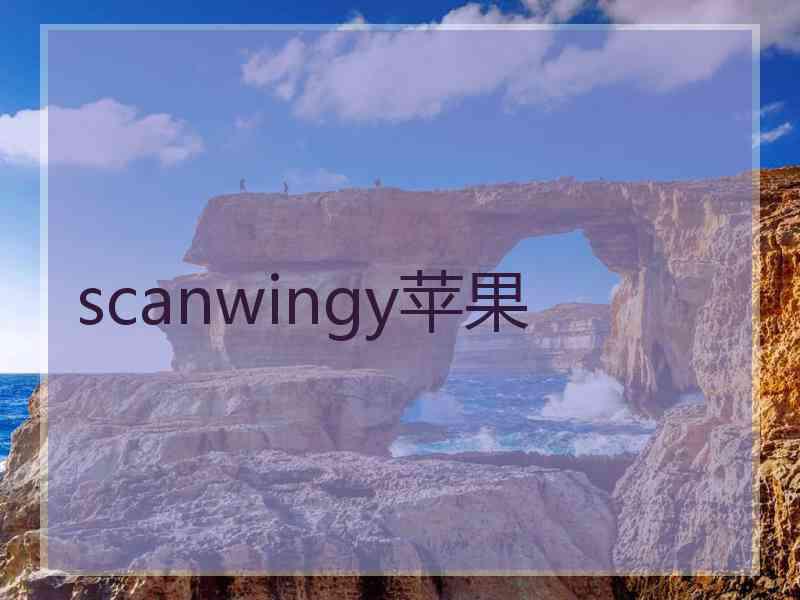 scanwingy苹果