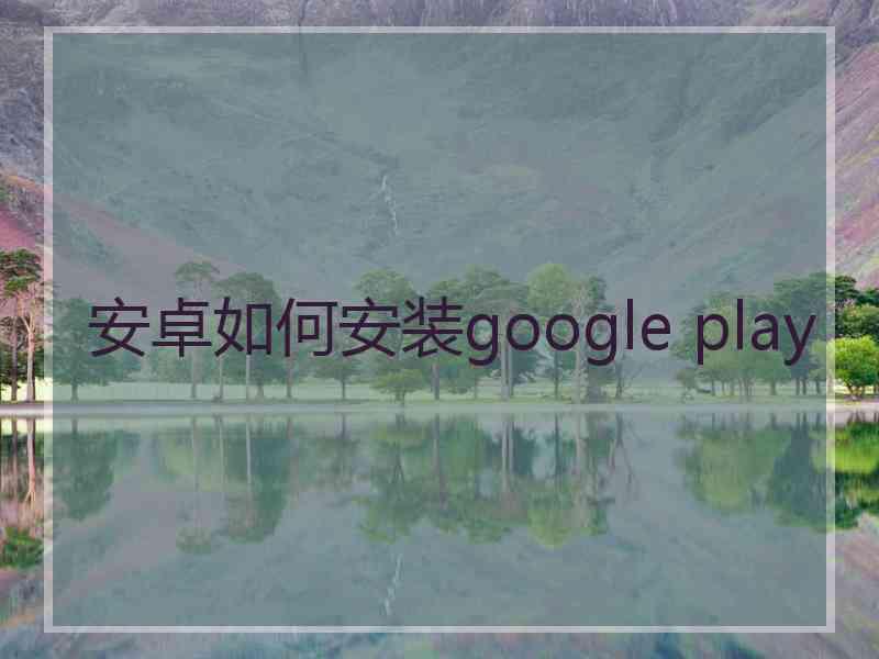 安卓如何安装google play