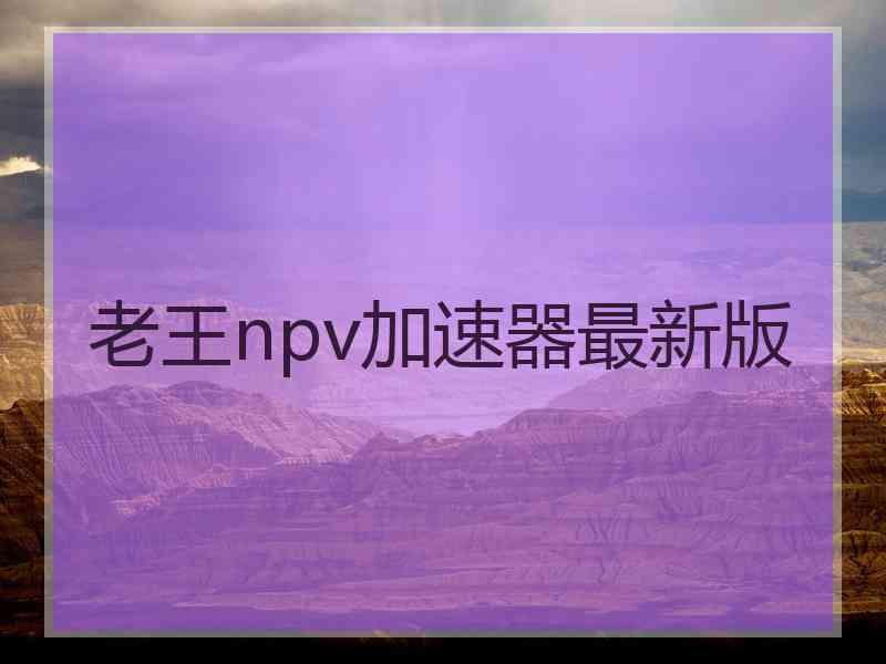 老王npv加速器最新版