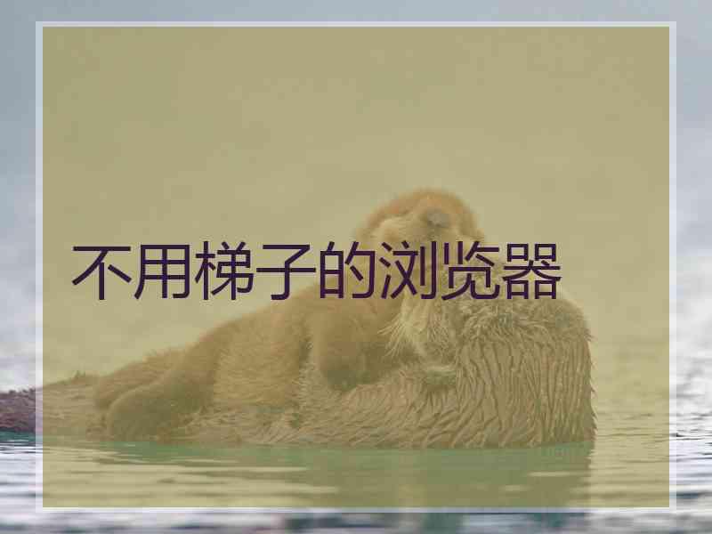 不用梯子的浏览器