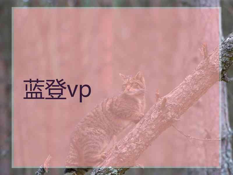 蓝登vp