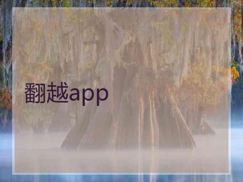 翻越app