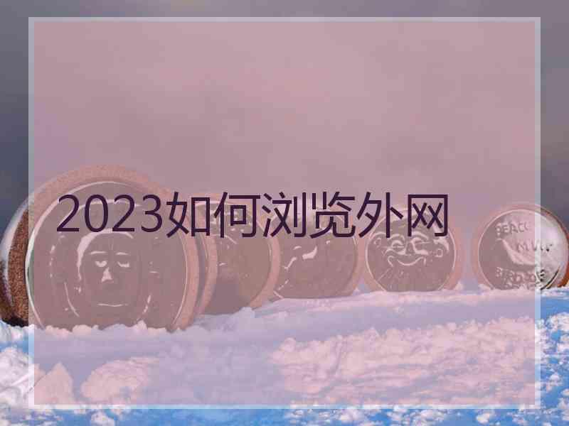 2023如何浏览外网