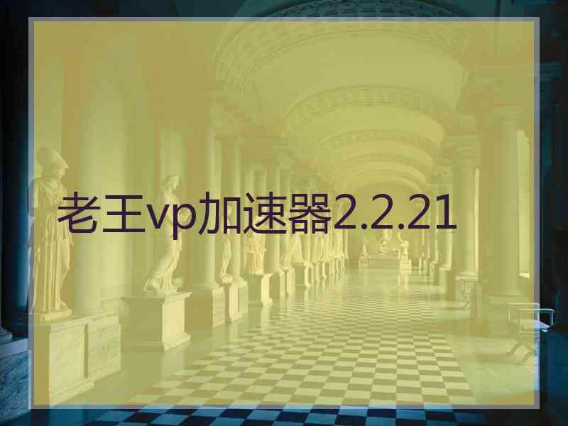 老王vp加速器2.2.21