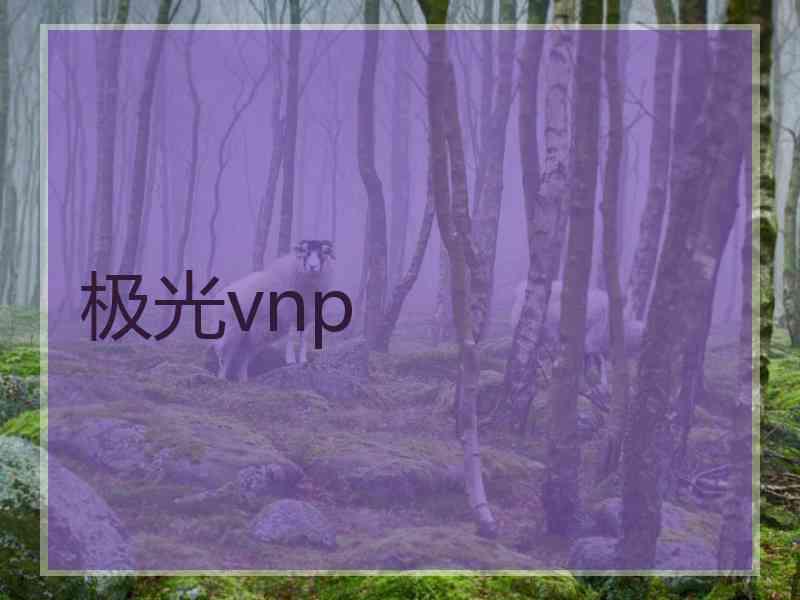 极光vnp