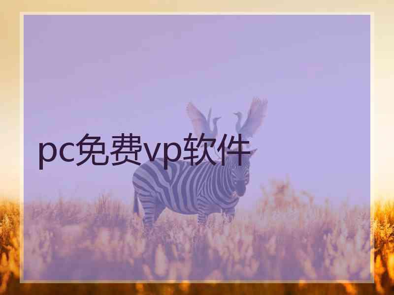 pc免费vp软件