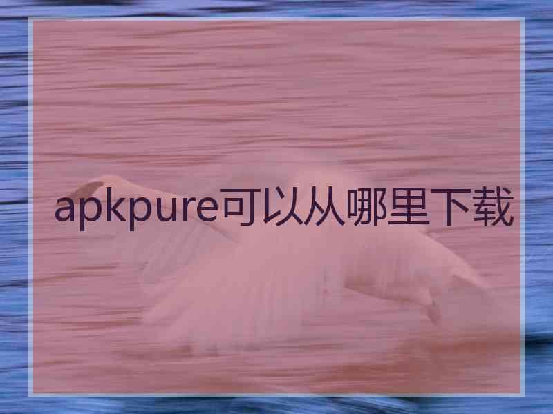 apkpure可以从哪里下载