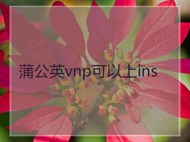 蒲公英vnp可以上ins