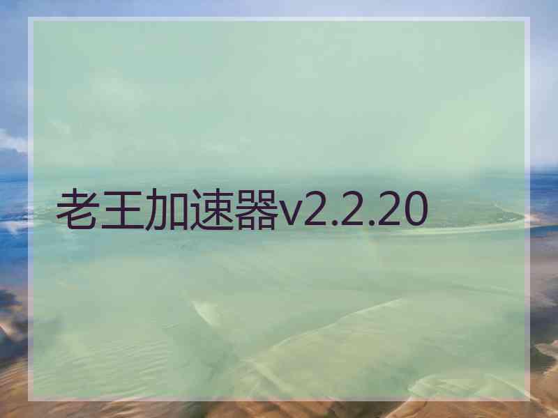 老王加速器v2.2.20