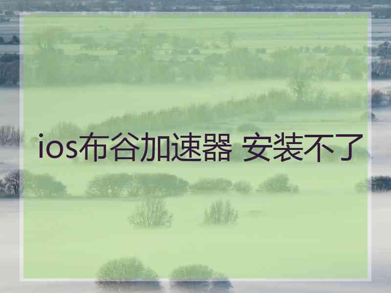 ios布谷加速器 安装不了