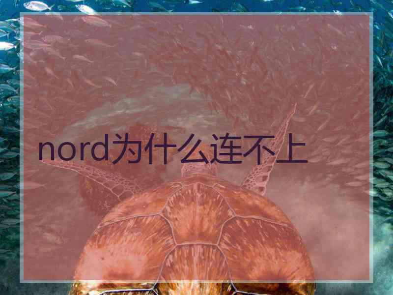 nord为什么连不上