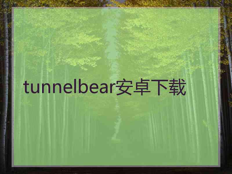 tunnelbear安卓下载