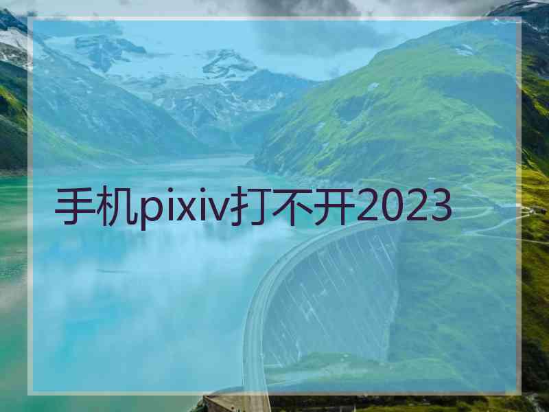 手机pixiv打不开2023