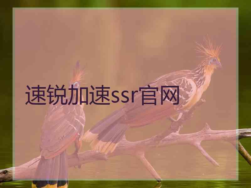 速锐加速ssr官网