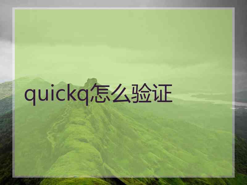 quickq怎么验证