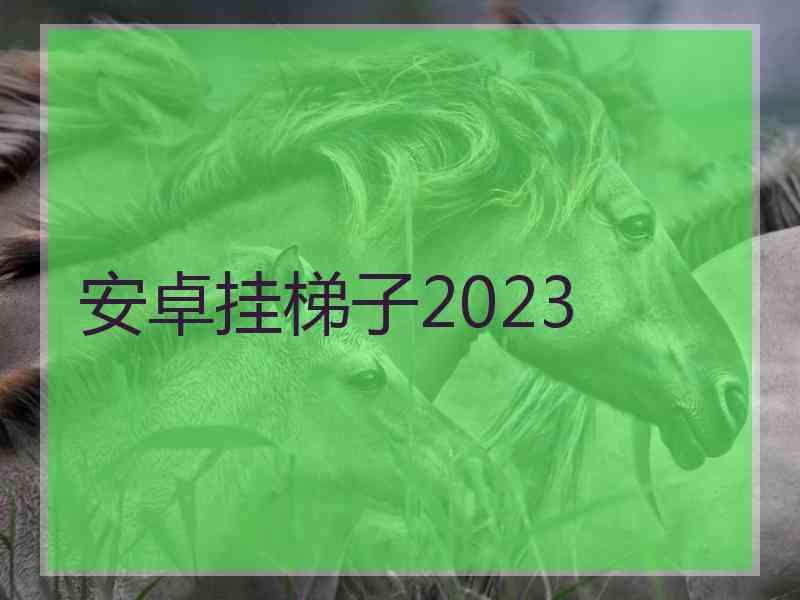 安卓挂梯子2023