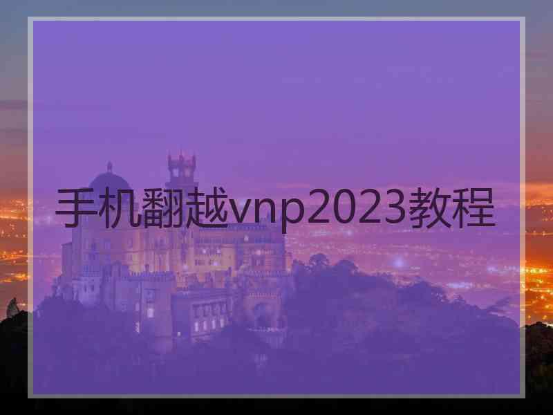 手机翻越vnp2023教程