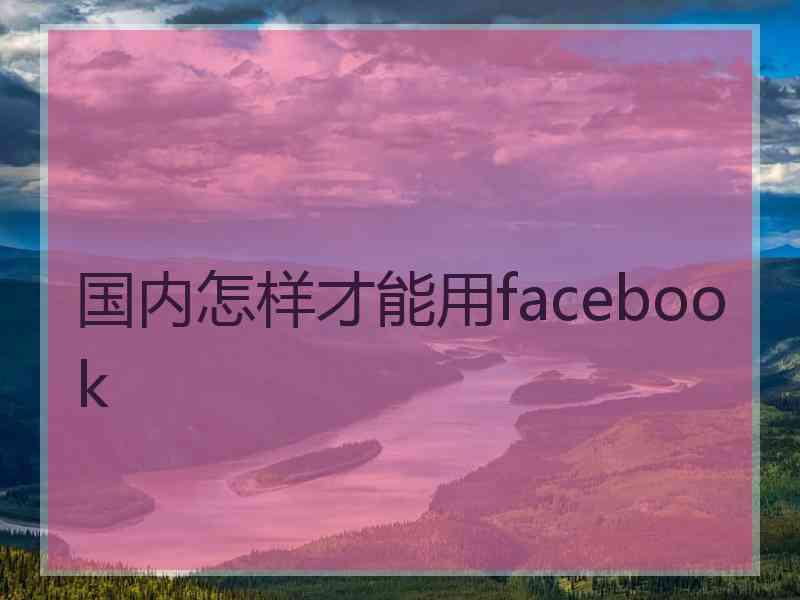 国内怎样才能用facebook