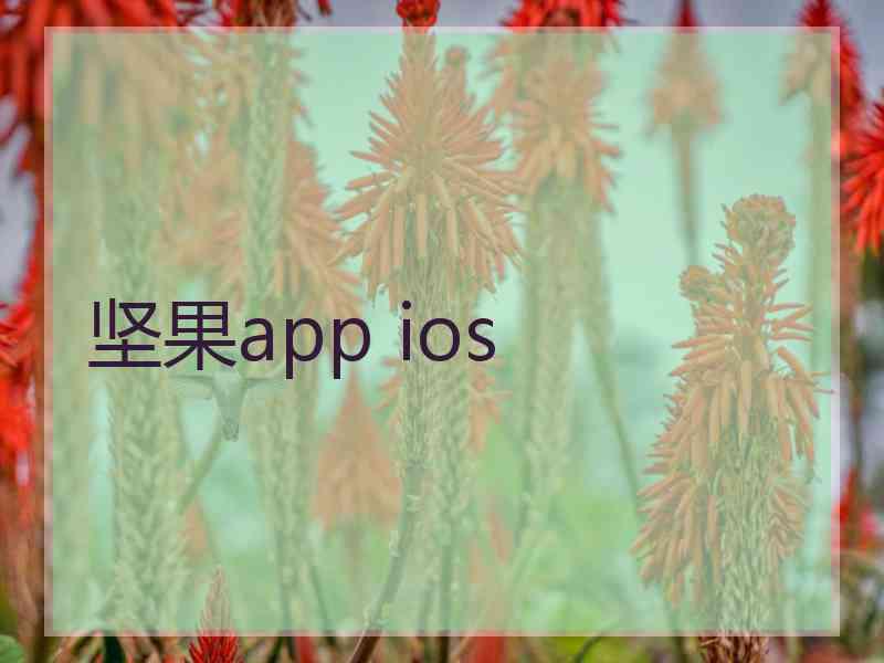 坚果app ios