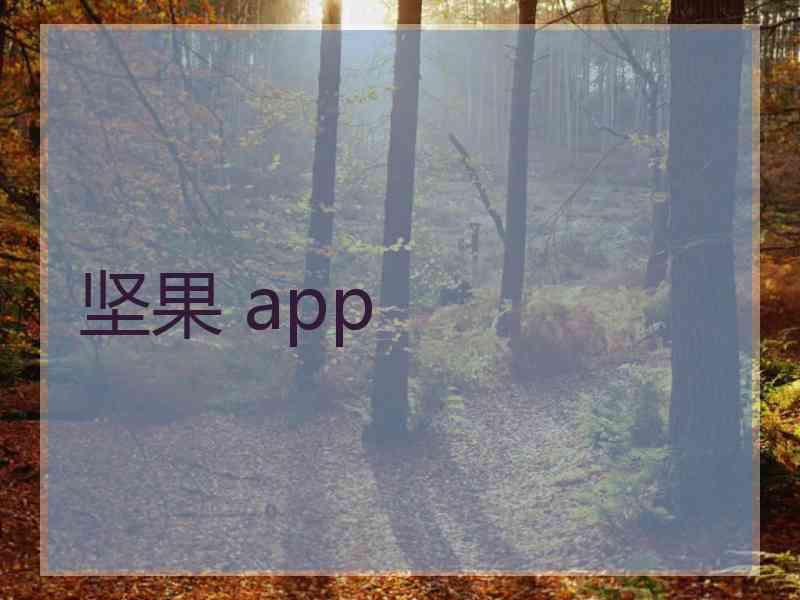 坚果 app