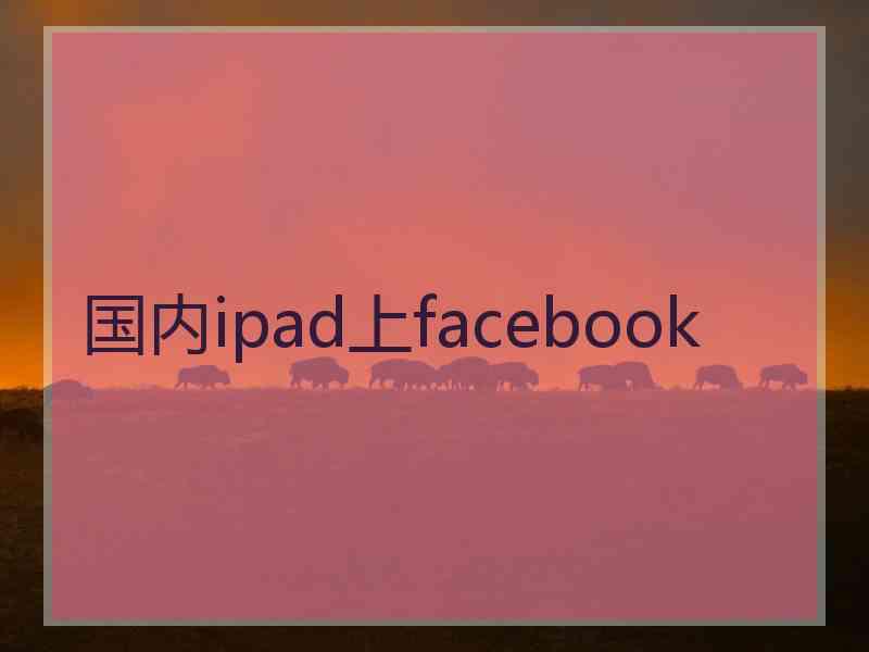 国内ipad上facebook